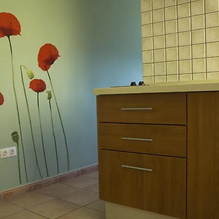 Appartement Concha *