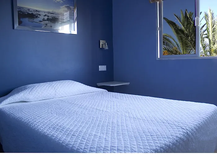 Apartman Concha