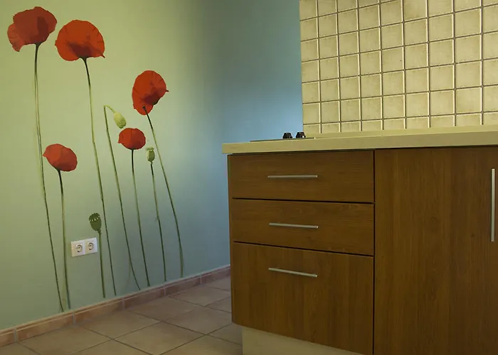 Apartman Concha *